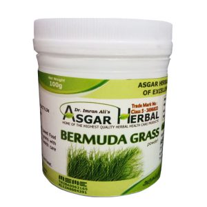 Bermuda-Grass