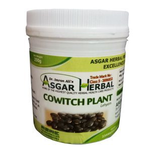 Cowitchi-Plant-Lehyam
