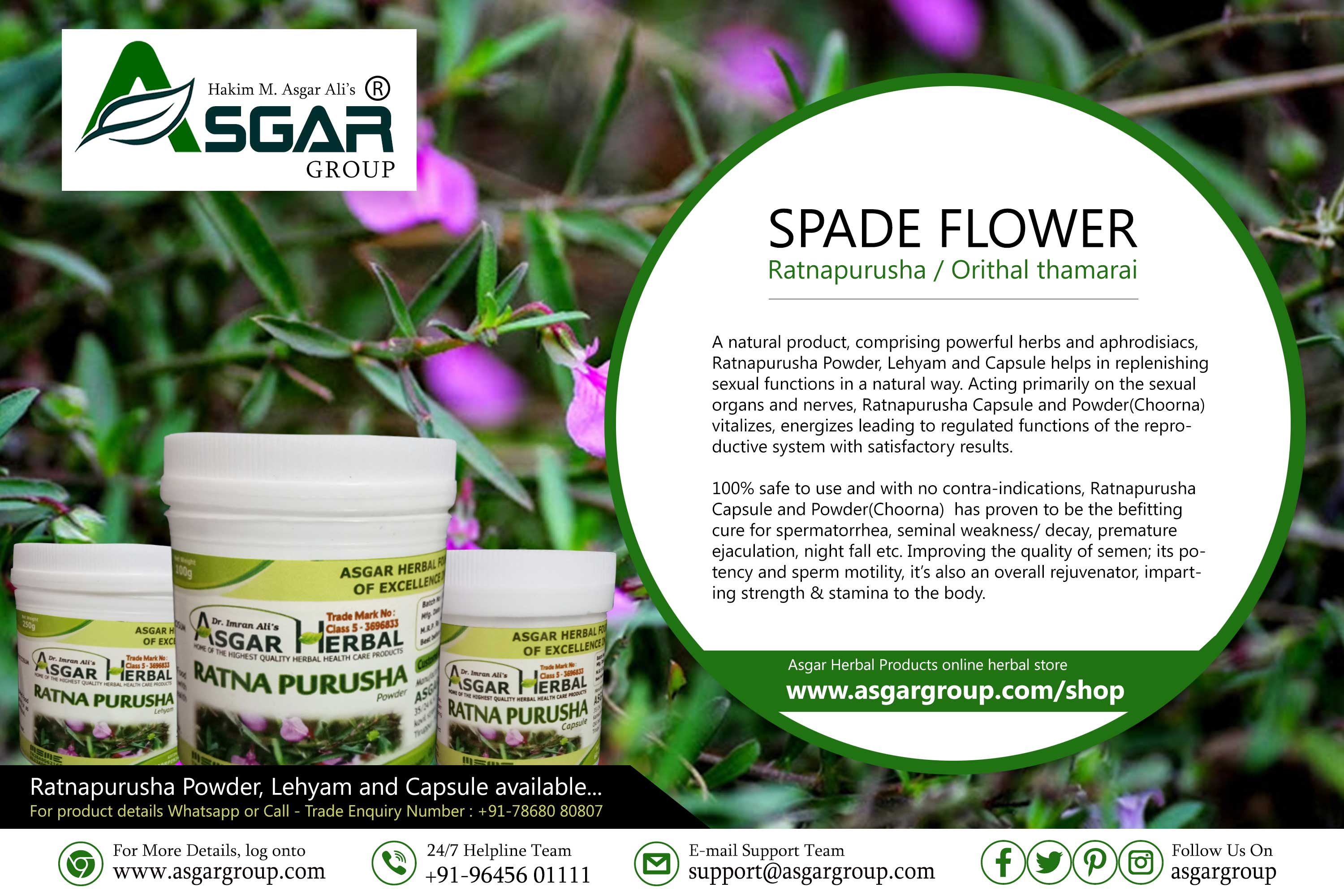 Ratnapurusha powder capsule asgar herbal spade flower retailer wholesaler india
