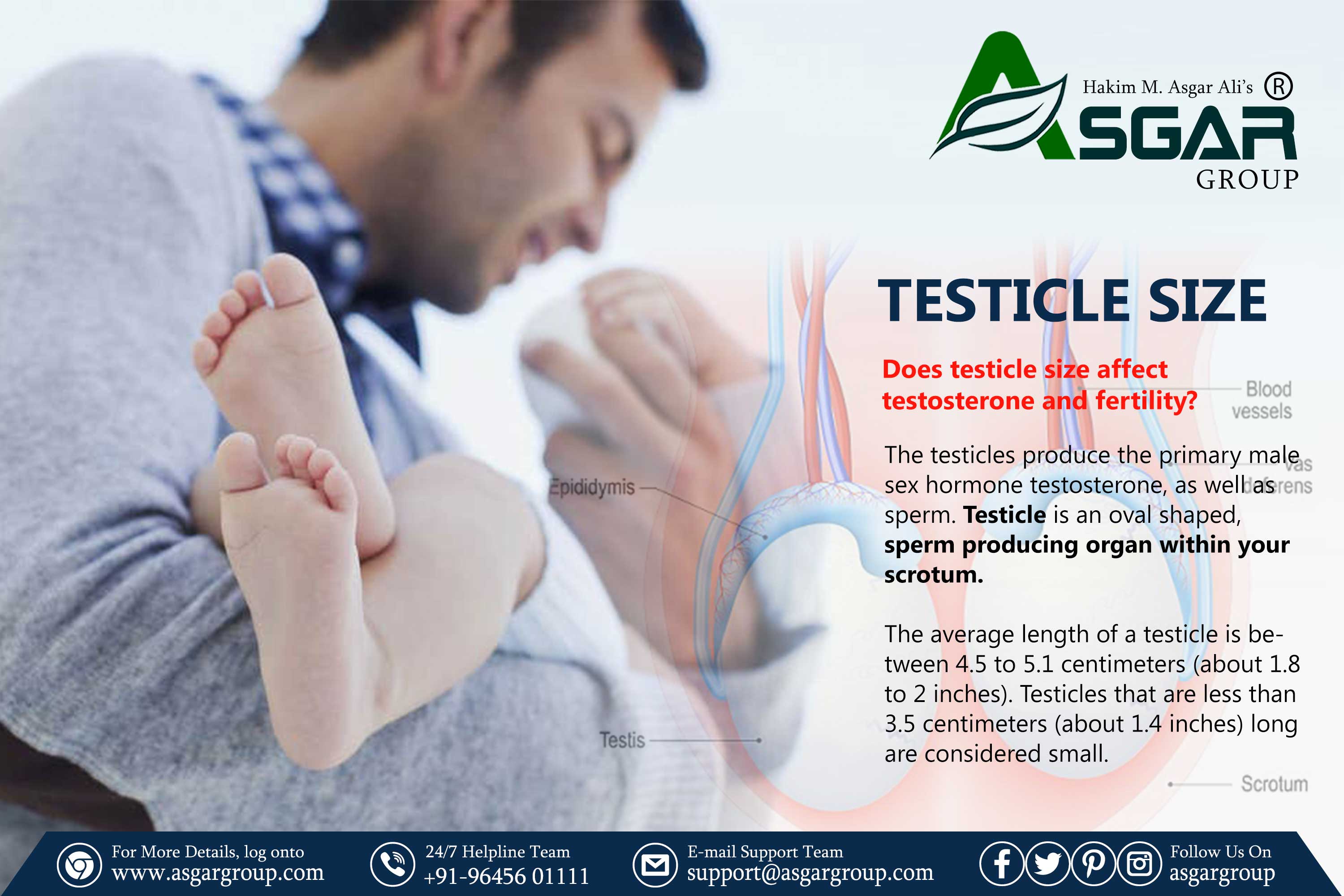Average Testicle Size infertility and low testosterone asgar group