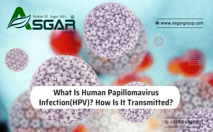  What Is Human Papillomavirus Infection(HPV)? How Is It Transmitted?