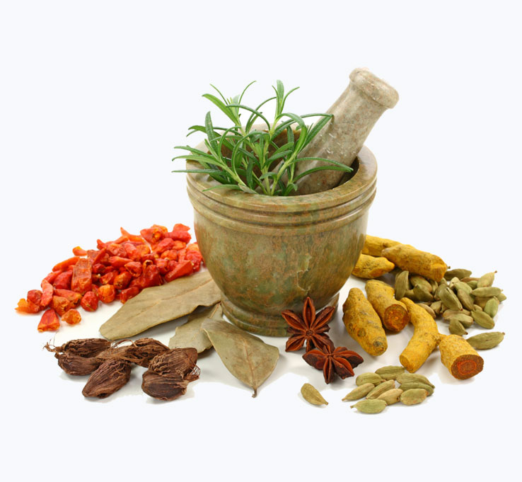 Ayurvedic-System-kerala